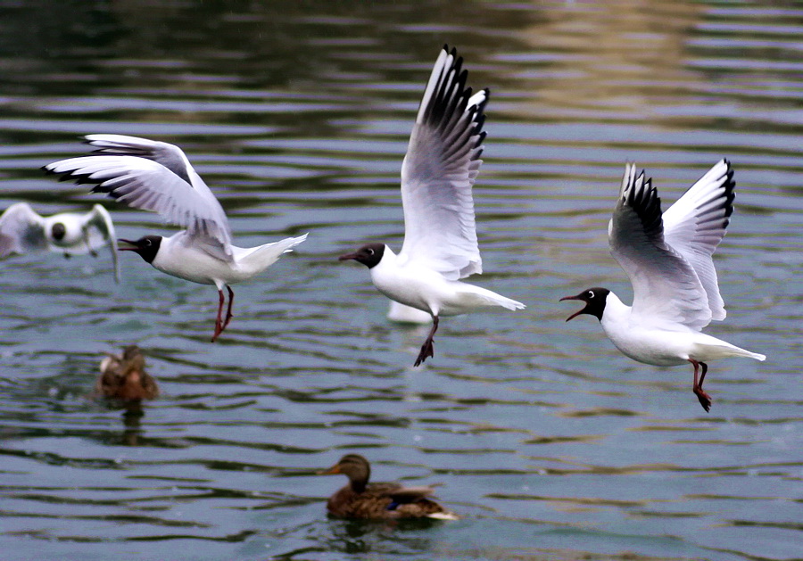 Phase of flight