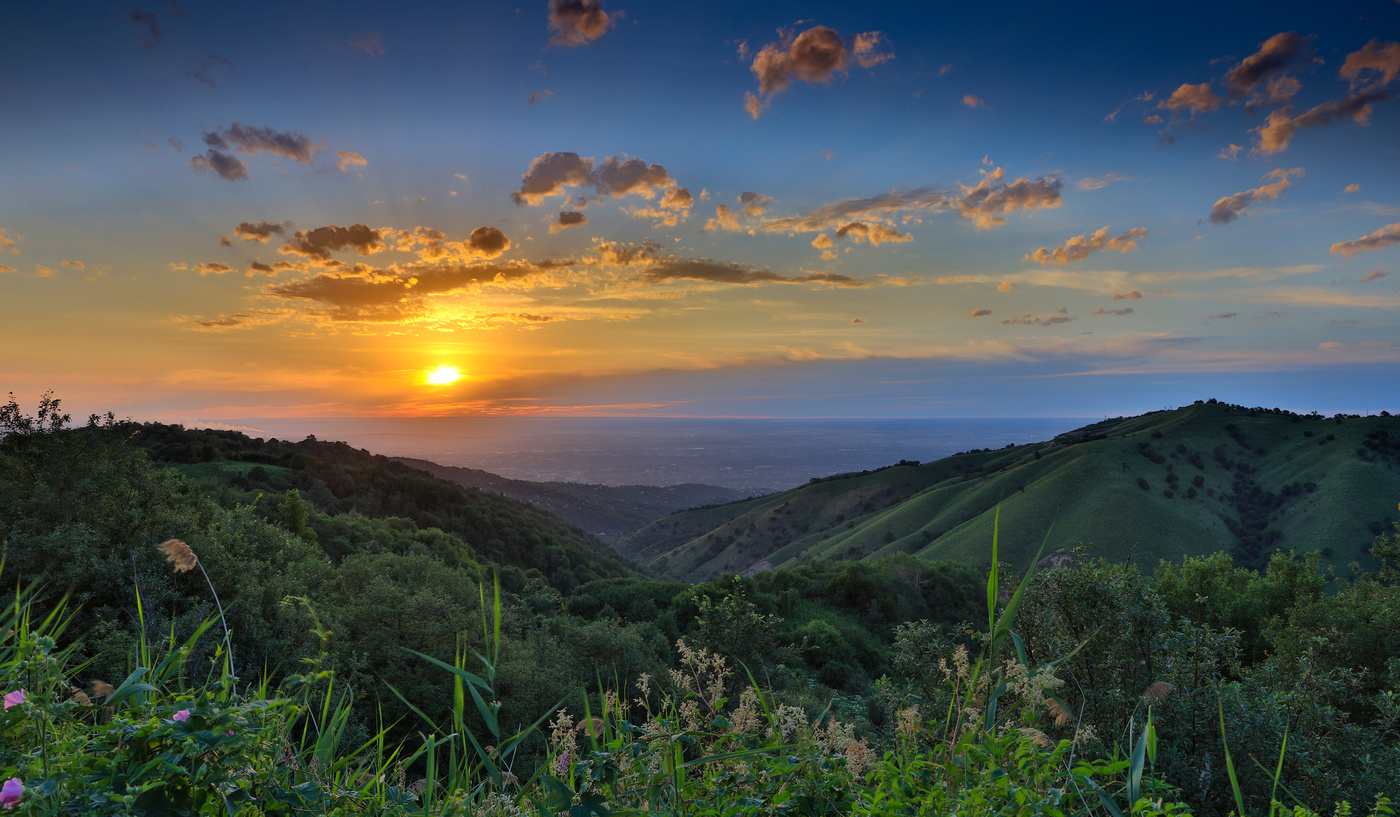 Golden Sunset