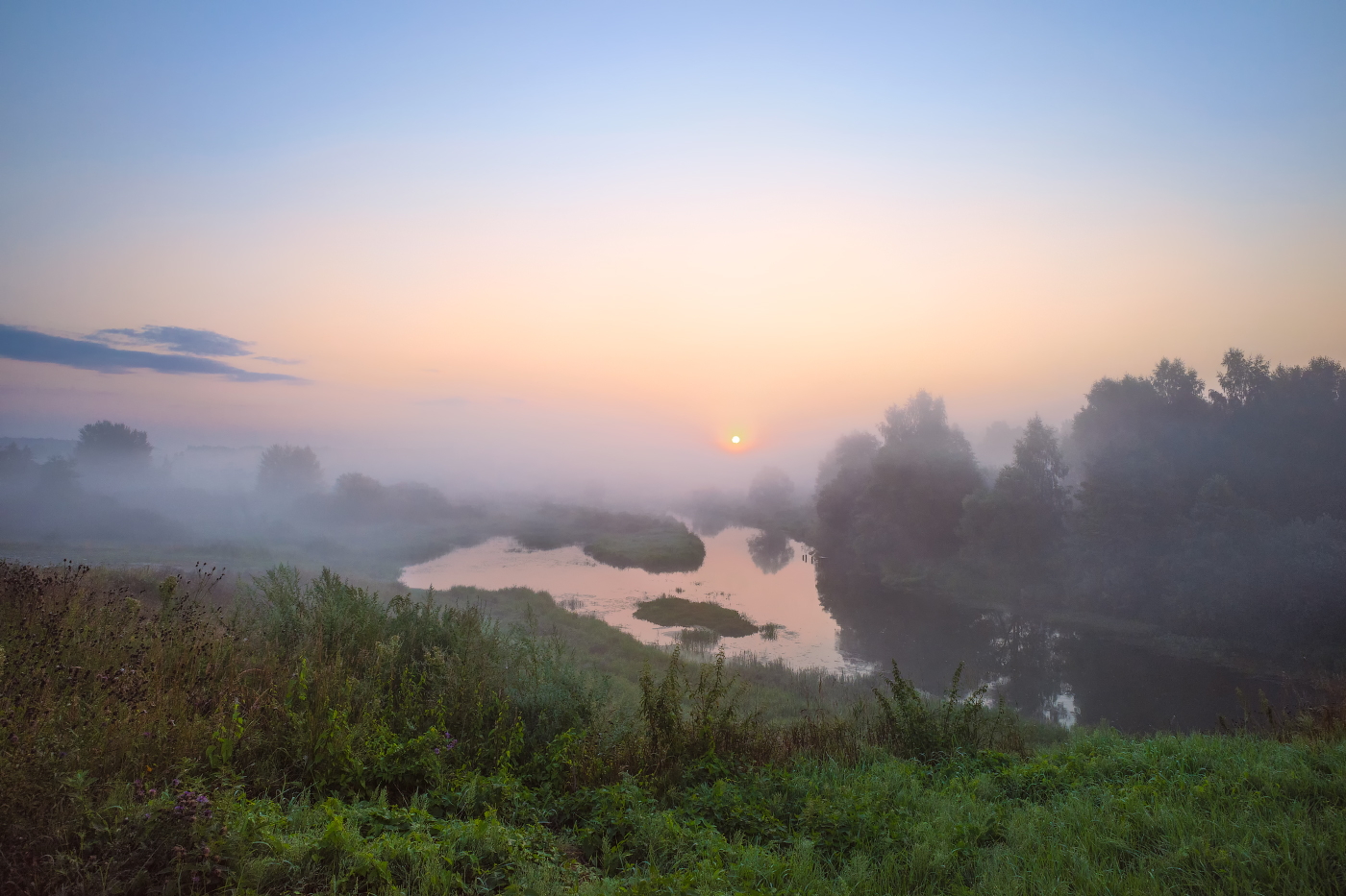 Foggy morning