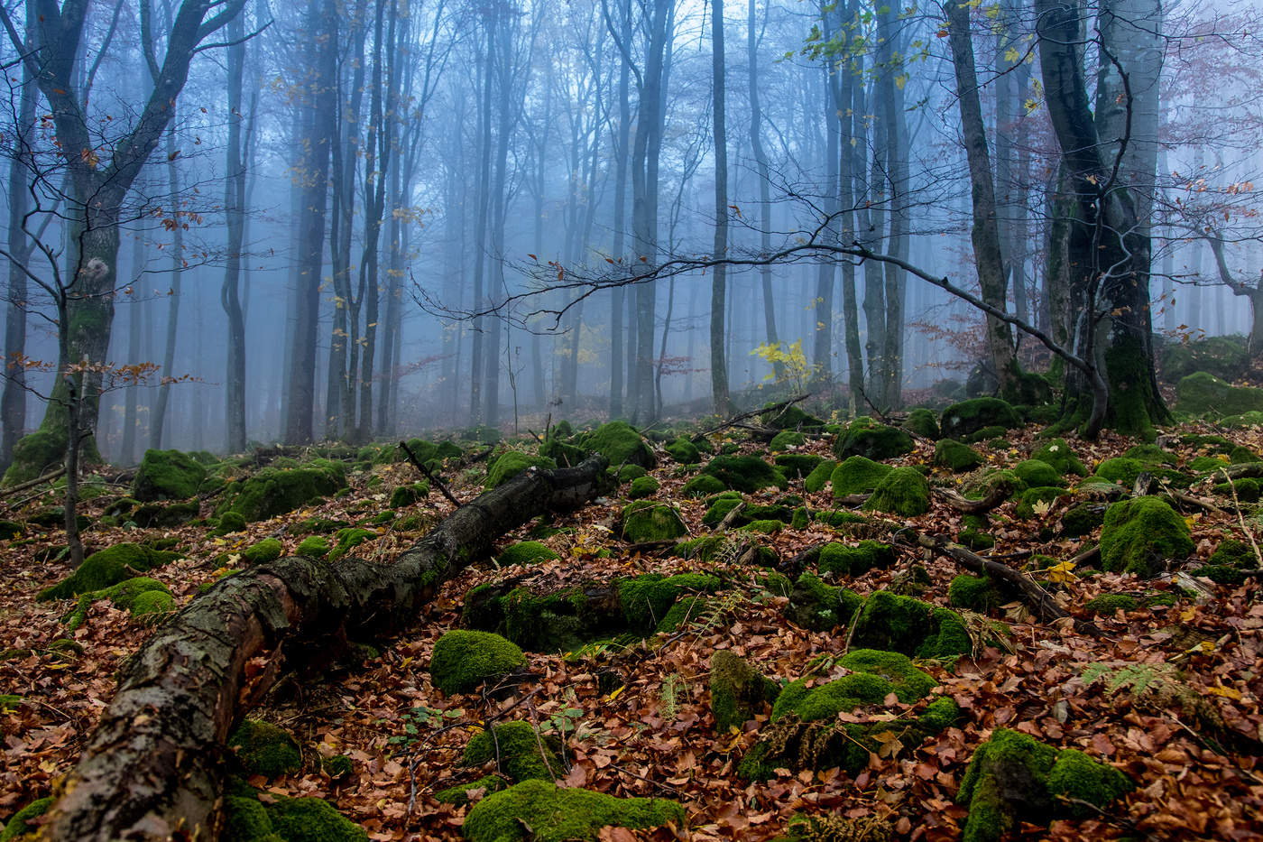 Autumn in the mountains