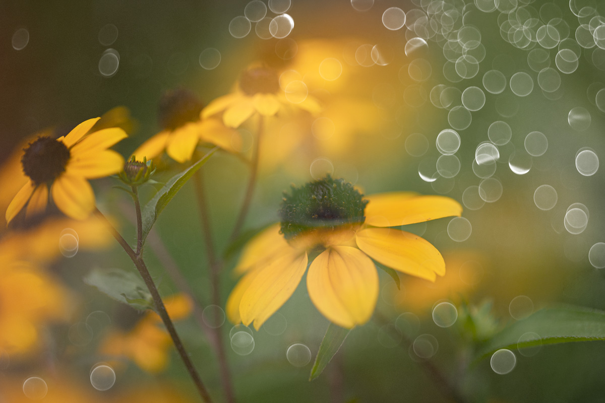Summertime...