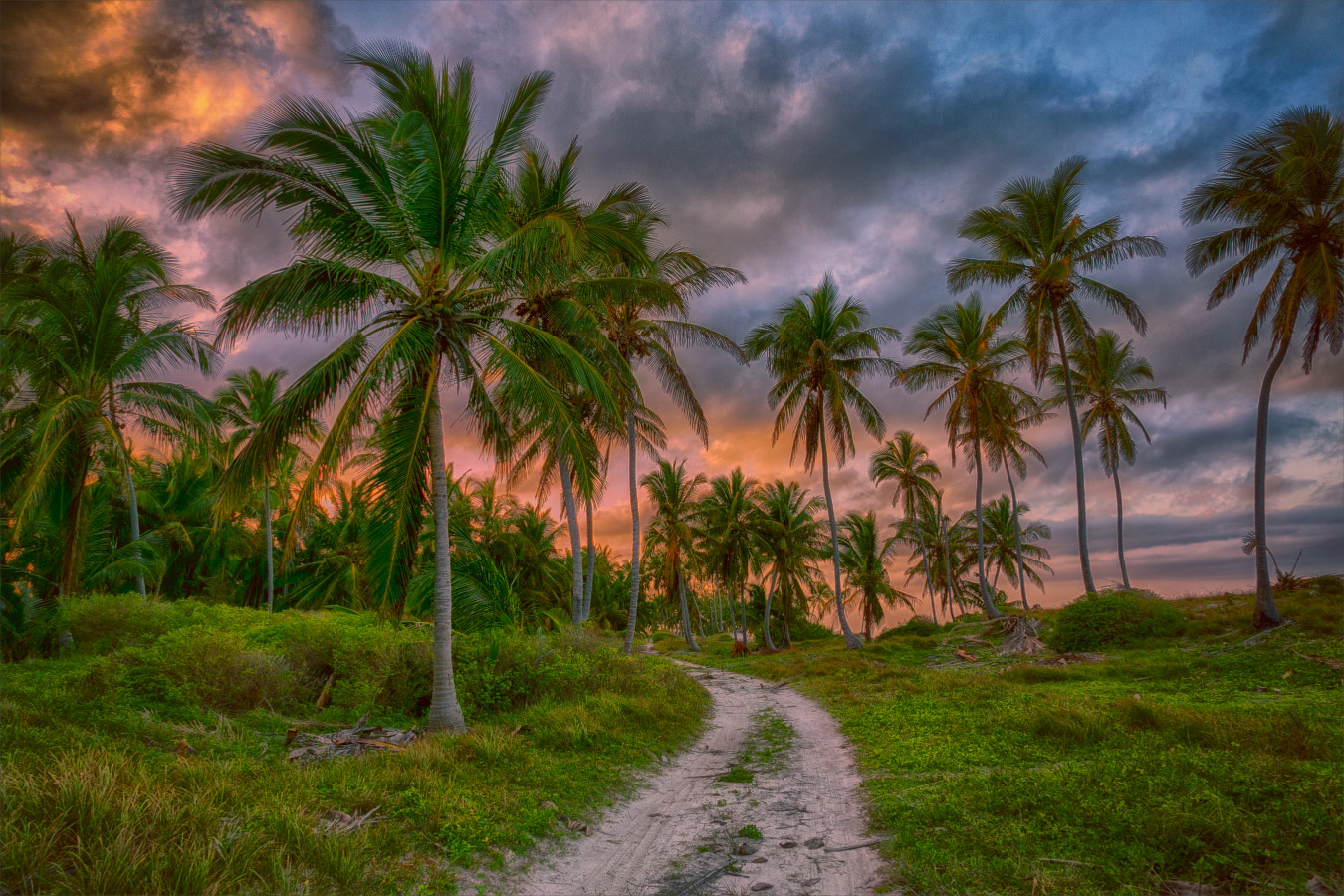 Road to the sea