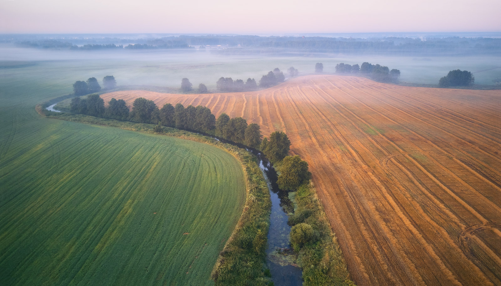 Fields and Meadows