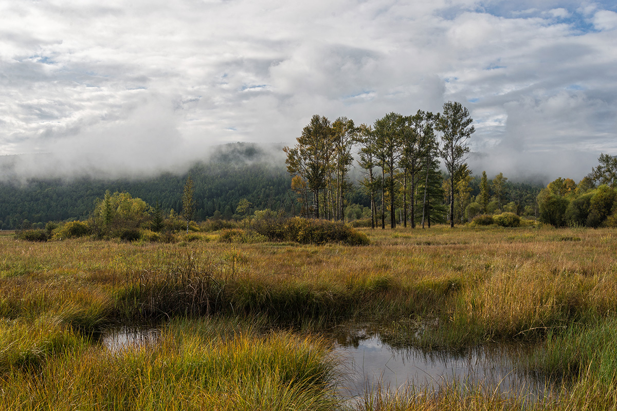 The passing mist.