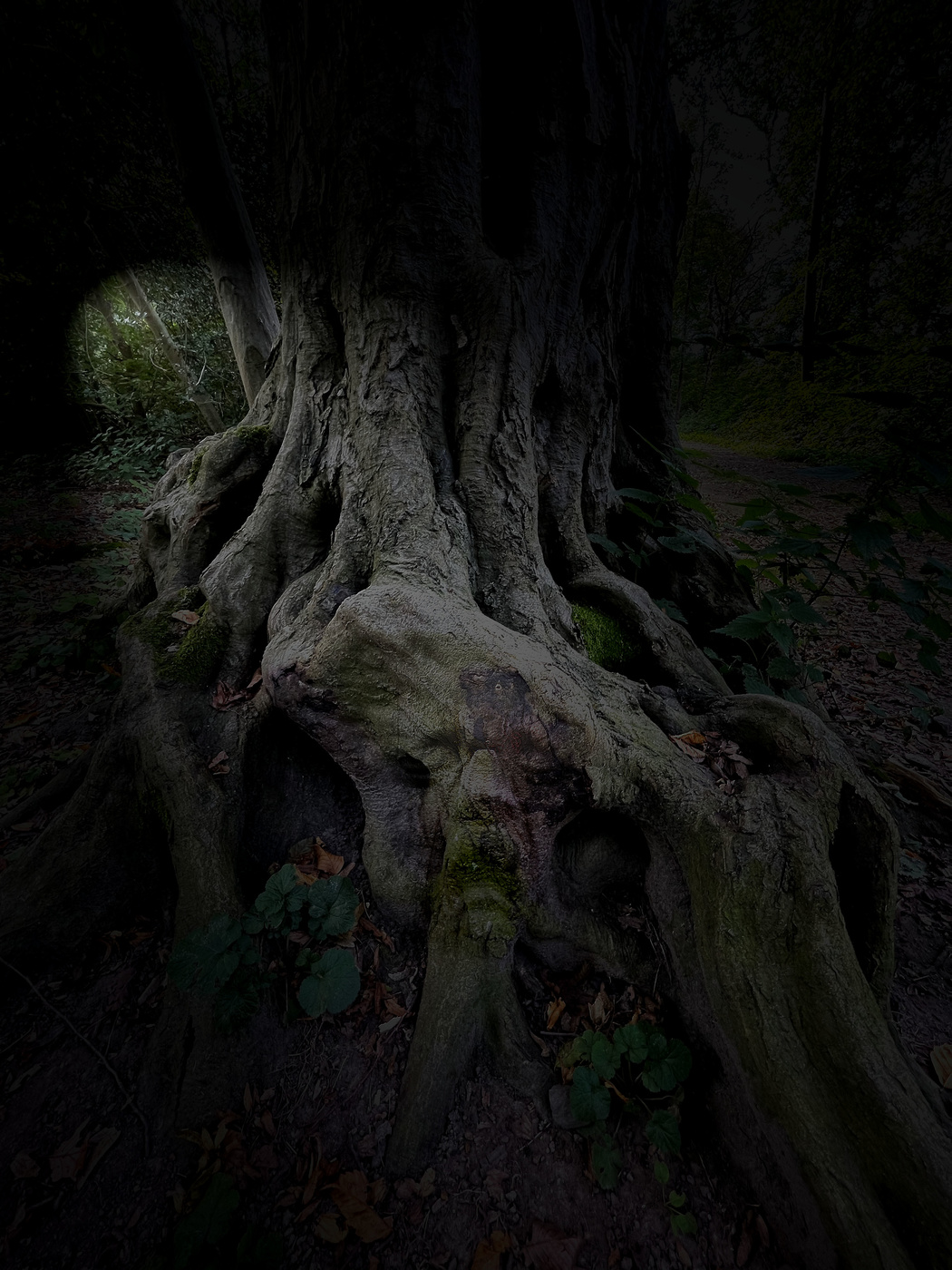 Yggdrasil