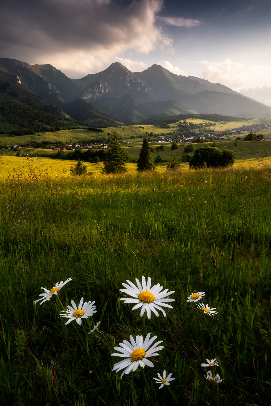 Summer sunset
