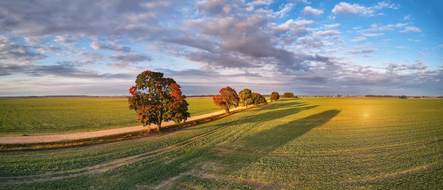 Early Autumn