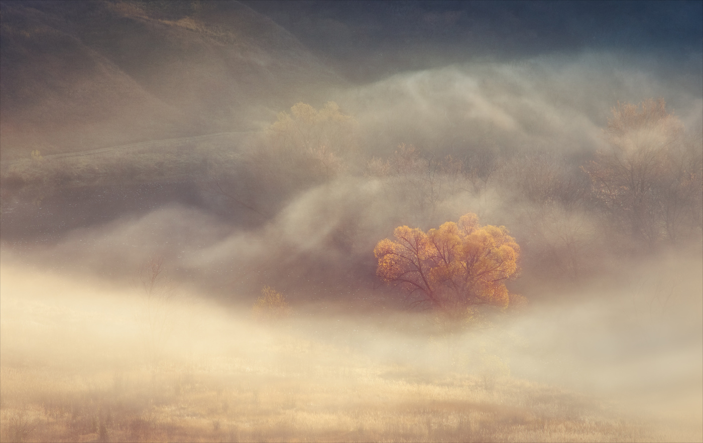 Autumn dream