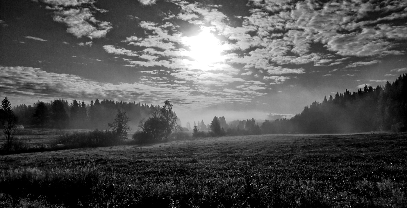Dreamland