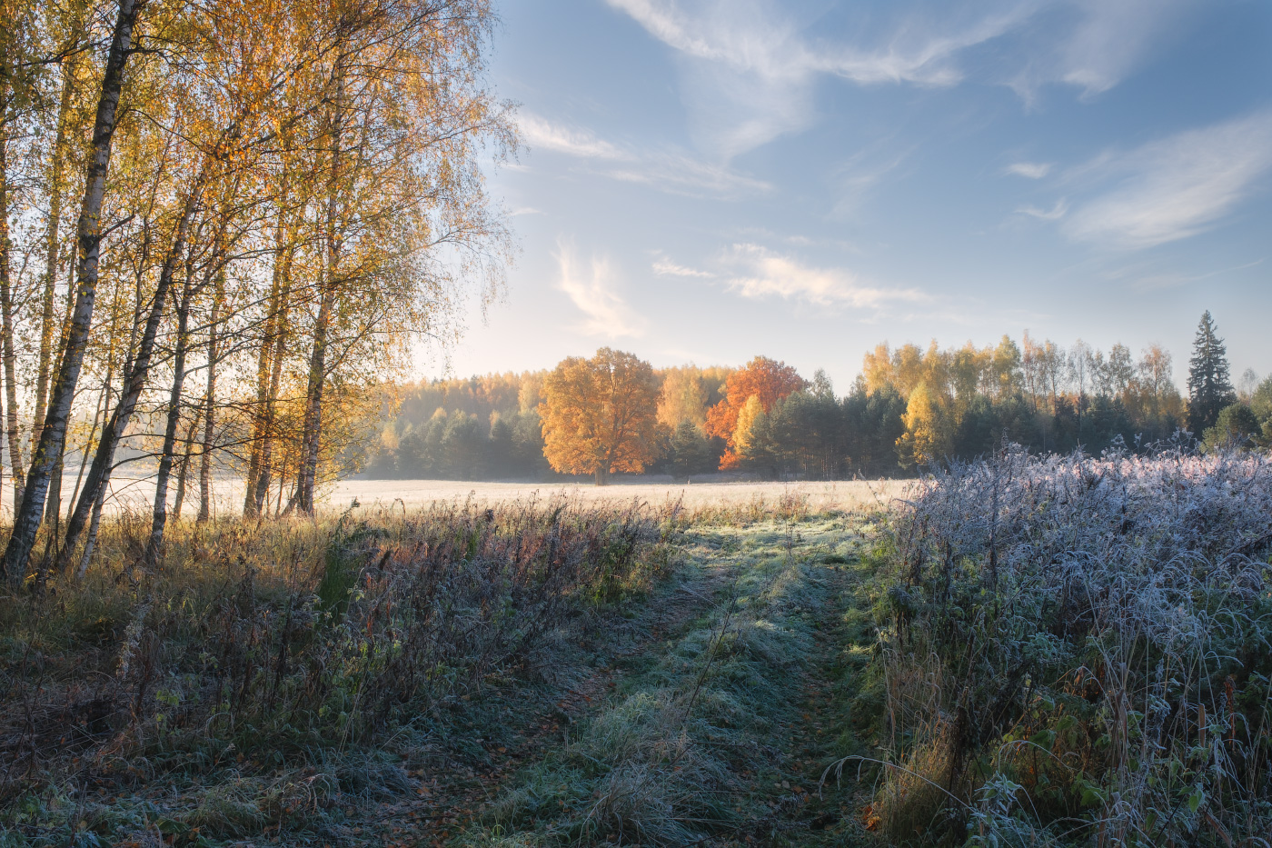 Autumn morning 2
