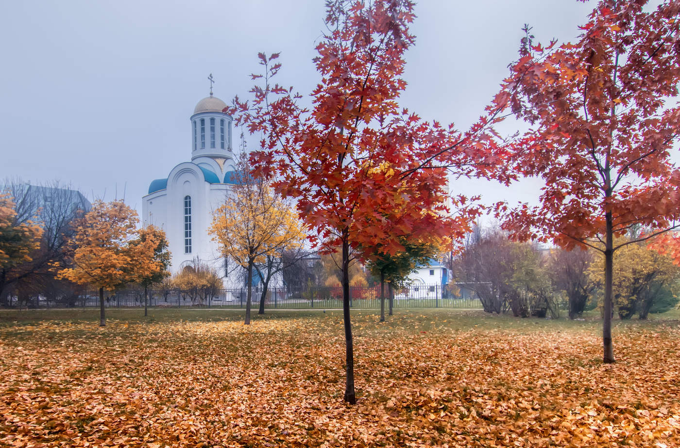 Urban Fall