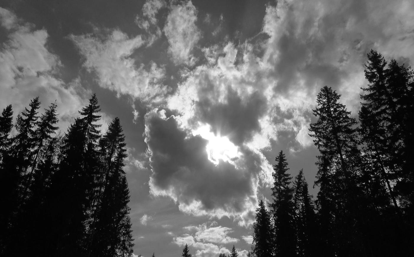 Apparation