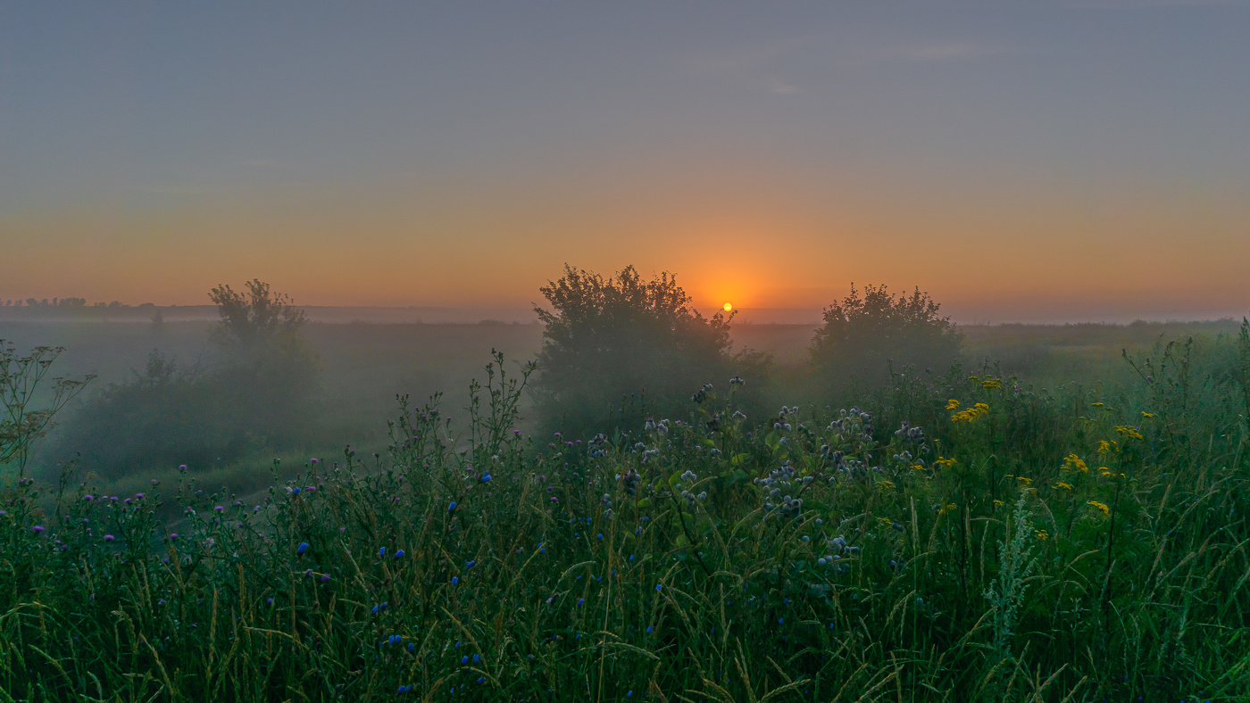 Foggy morning