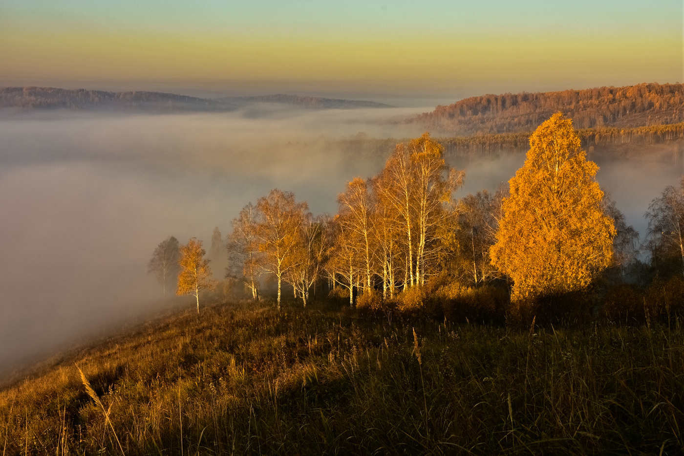 Kuzbass, Kemerovo region