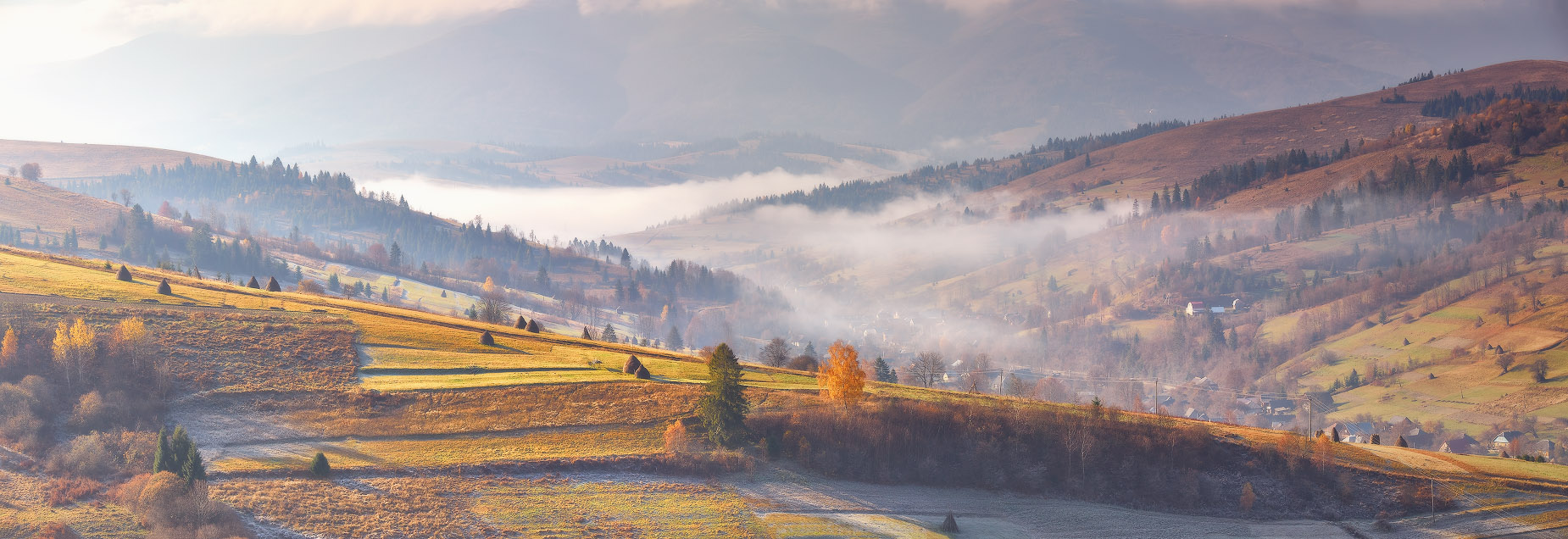 First november morning