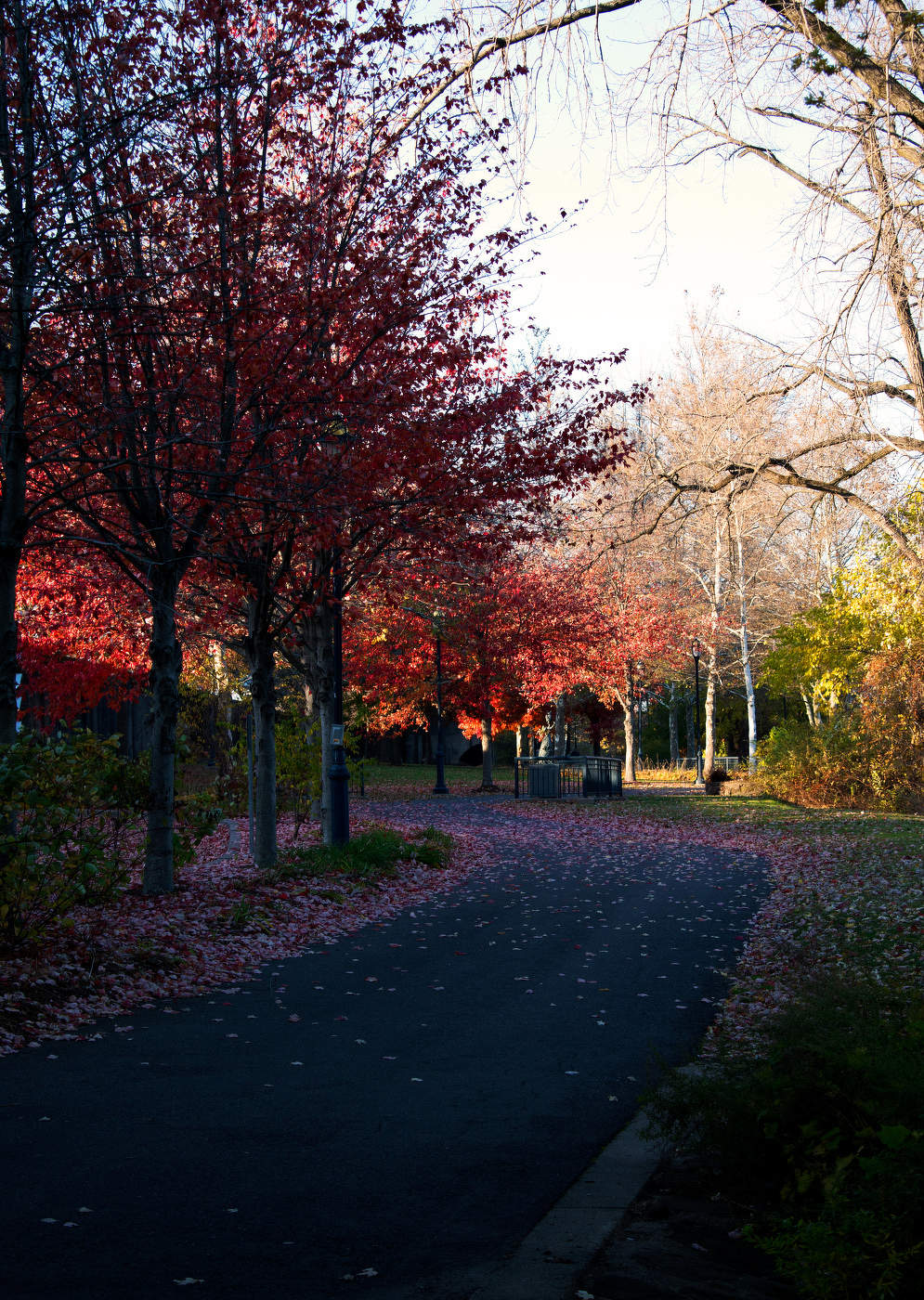Riverfront Red