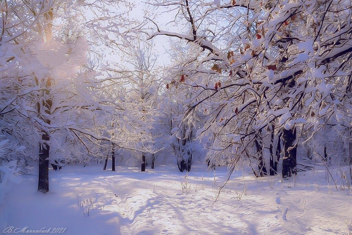 Winter road