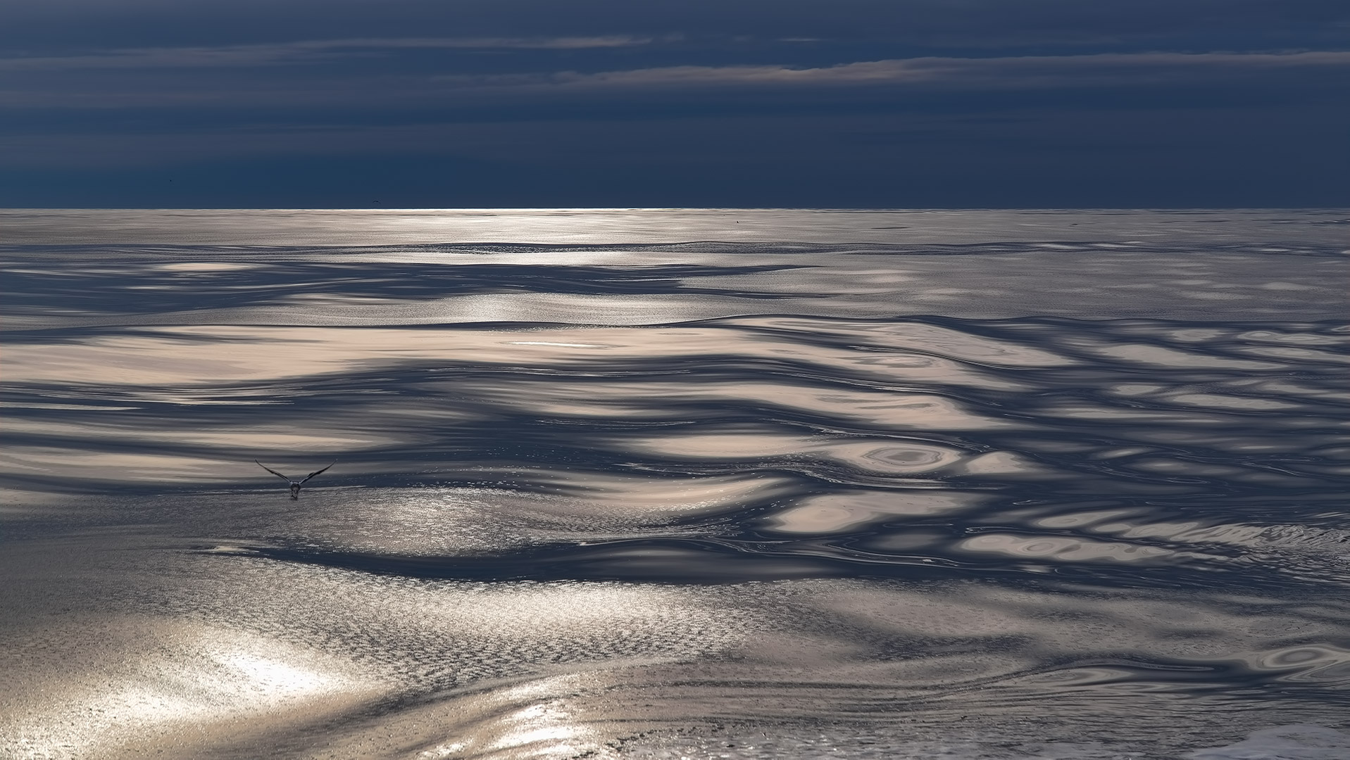 Blue Horizon