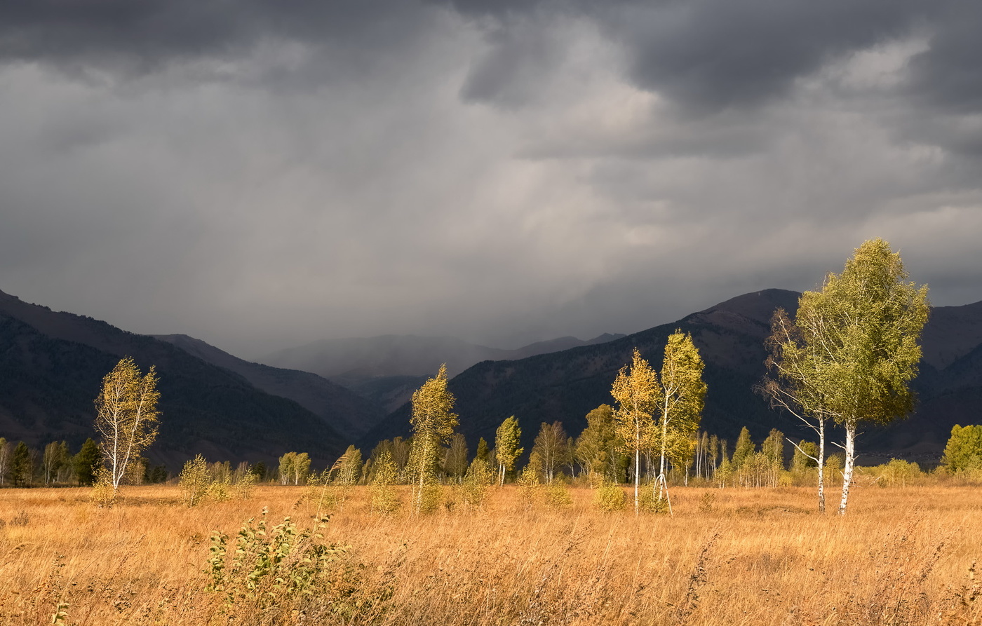 Before the storm
