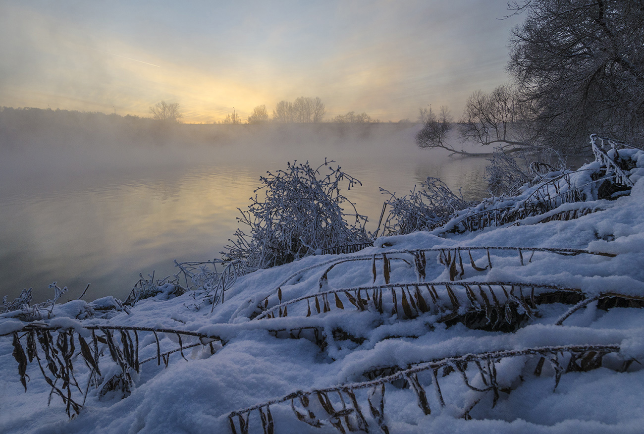 Winter dawn