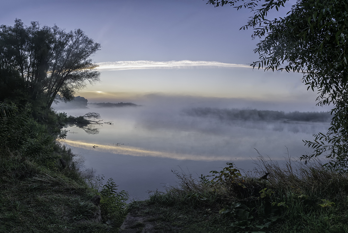 Dawn