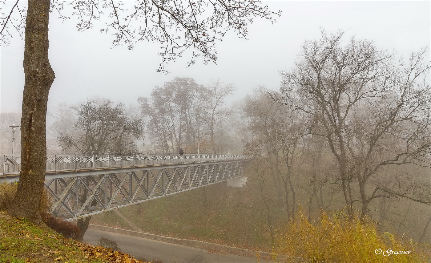 Misty Morning, morning sedoe ...