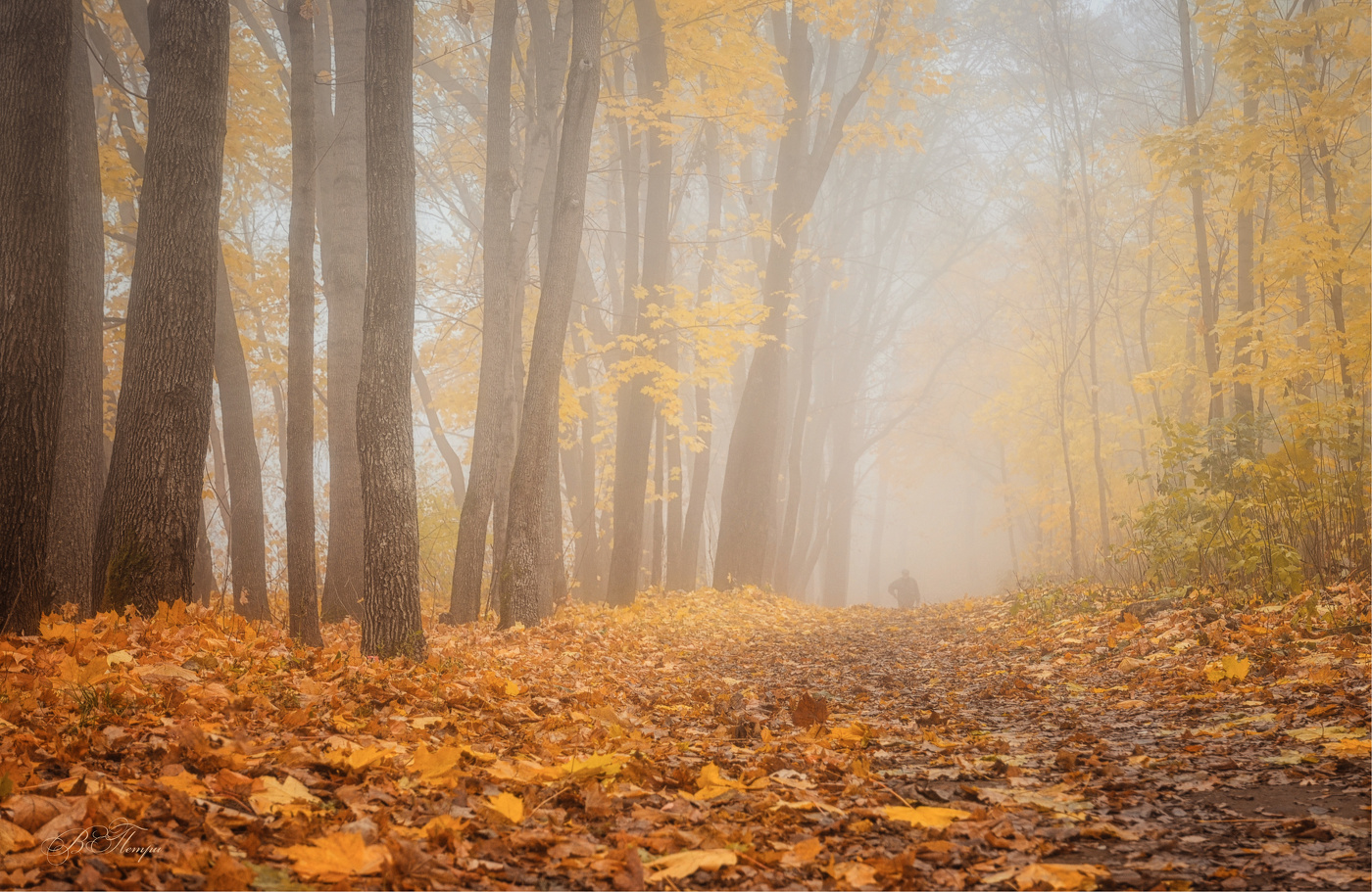 October fogs