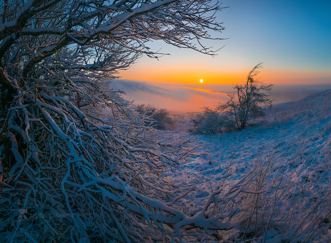 The November Snow