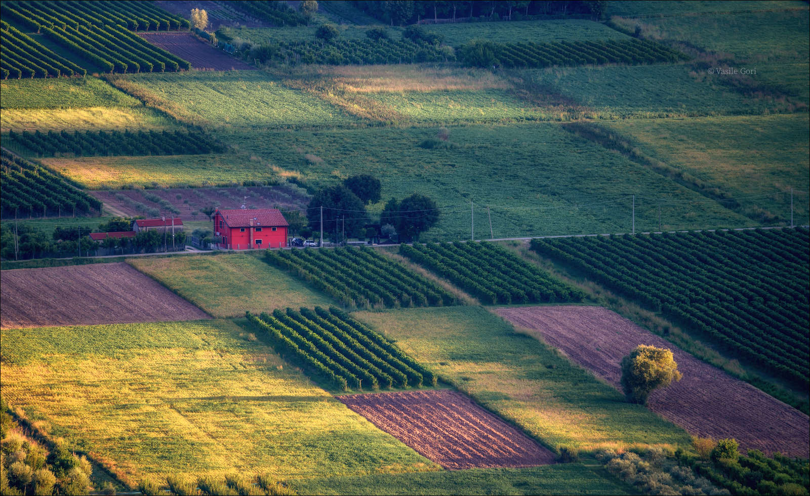 Patchwork