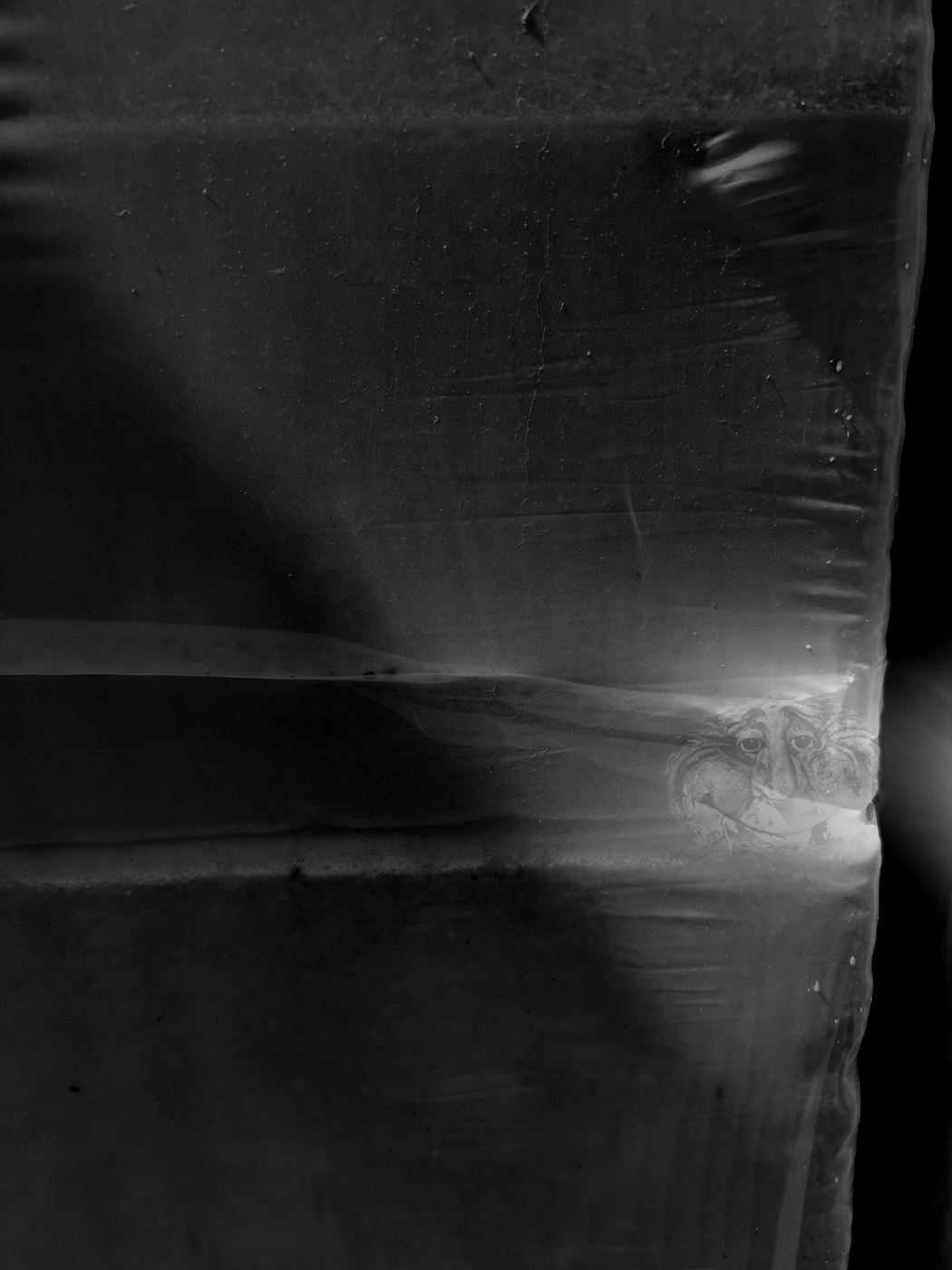 A head on the door