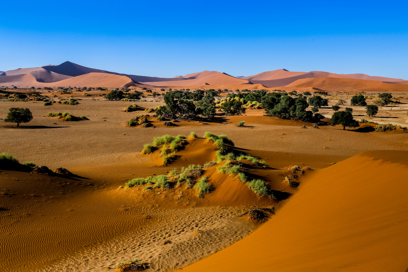 Namib, Sossusvlei