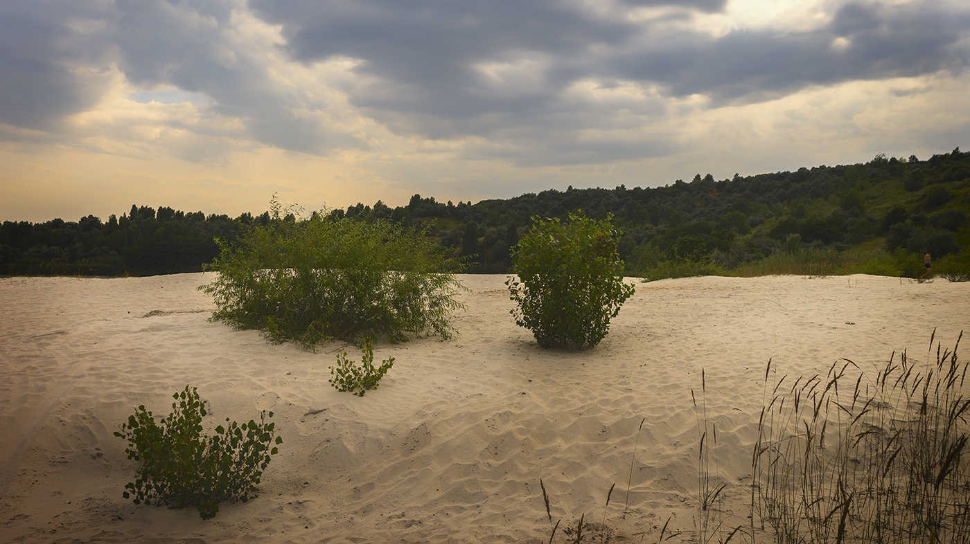 ***