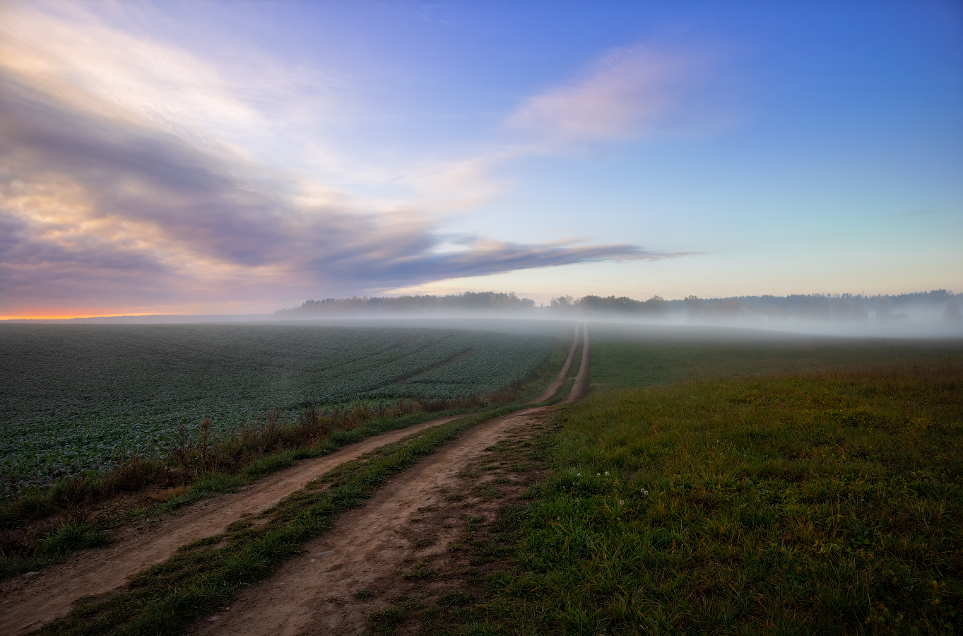 At dawn