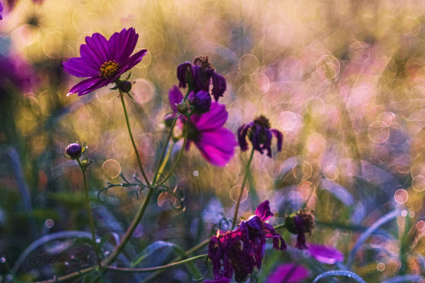 on the threshold of autumn