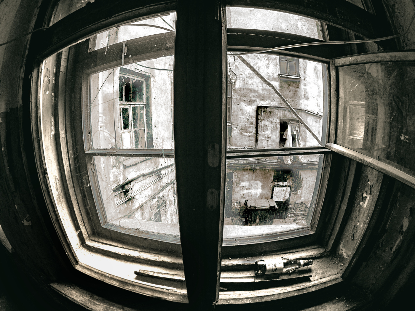Window