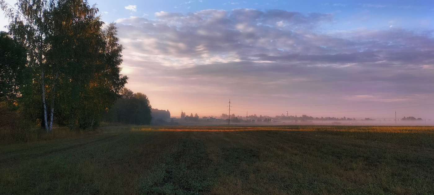 in the morning