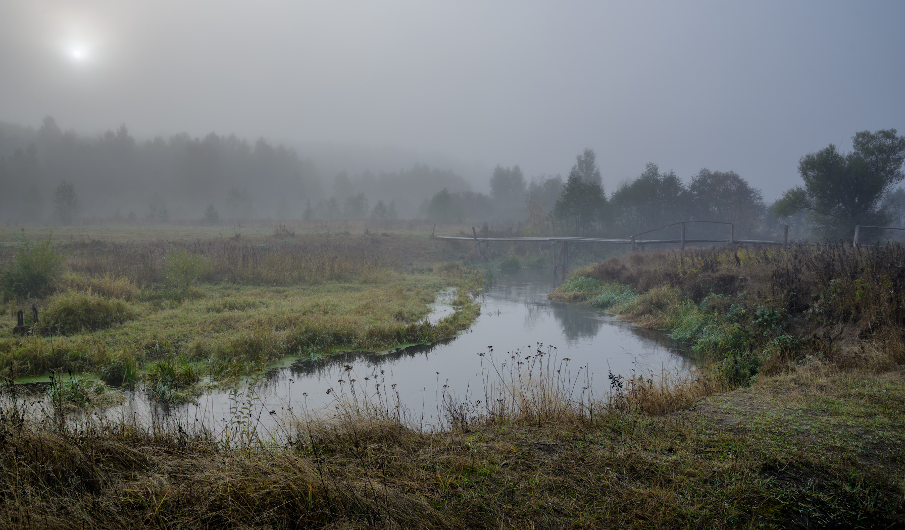 Bridge