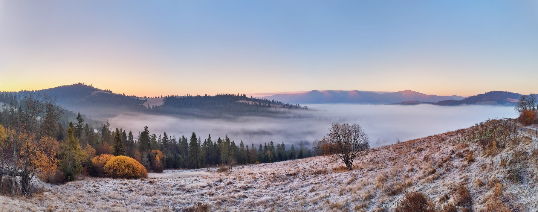 Cold November foggy morning