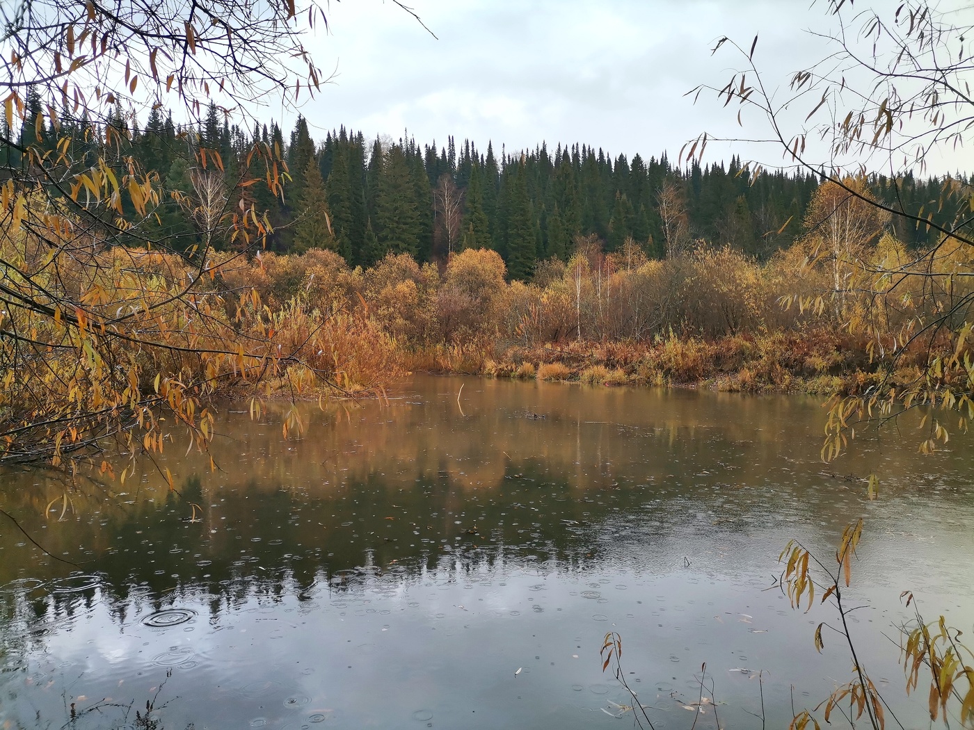Autumn rains