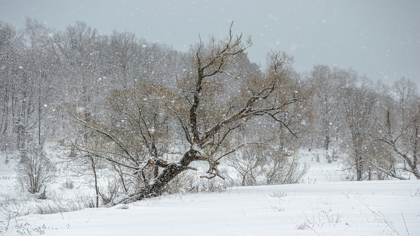 Snow was falling ...