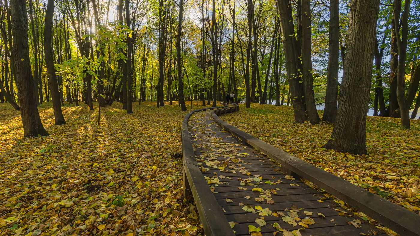 ***