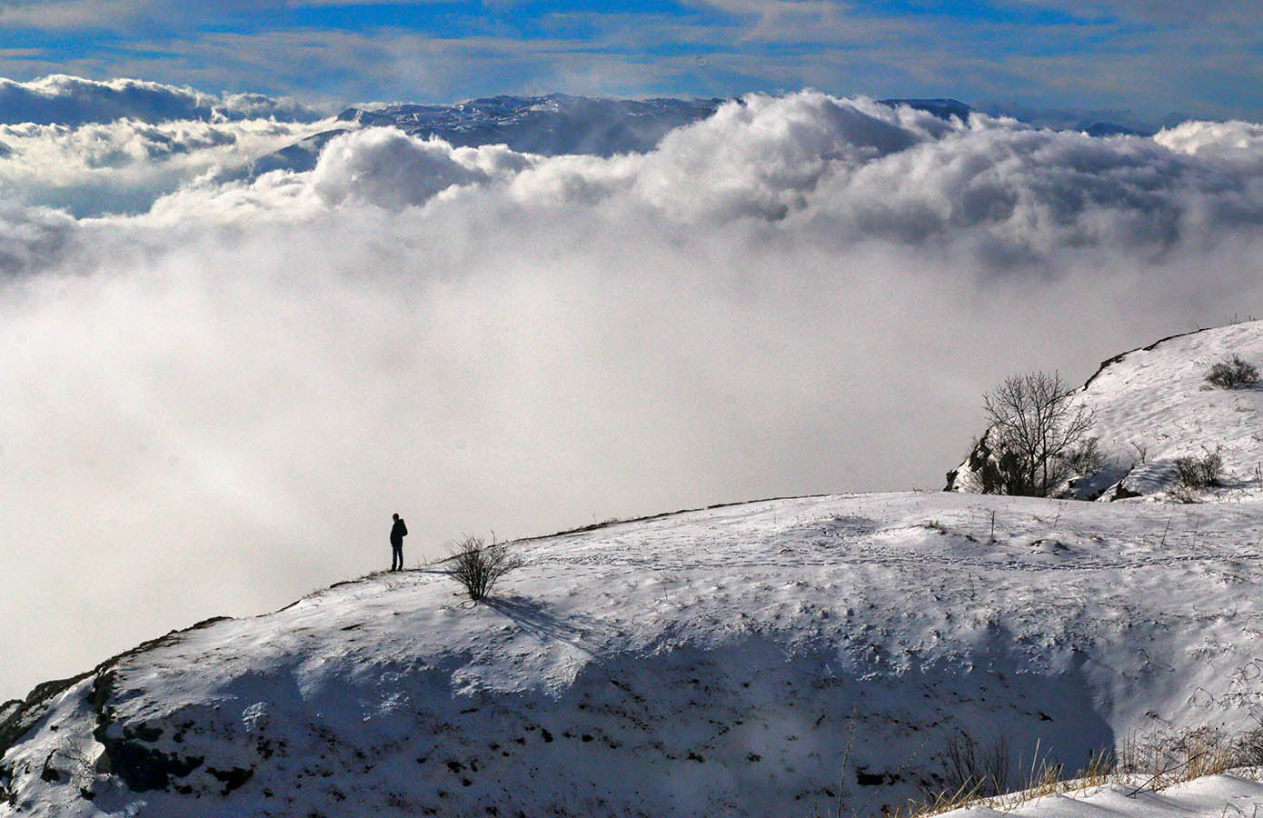 Above the clouds