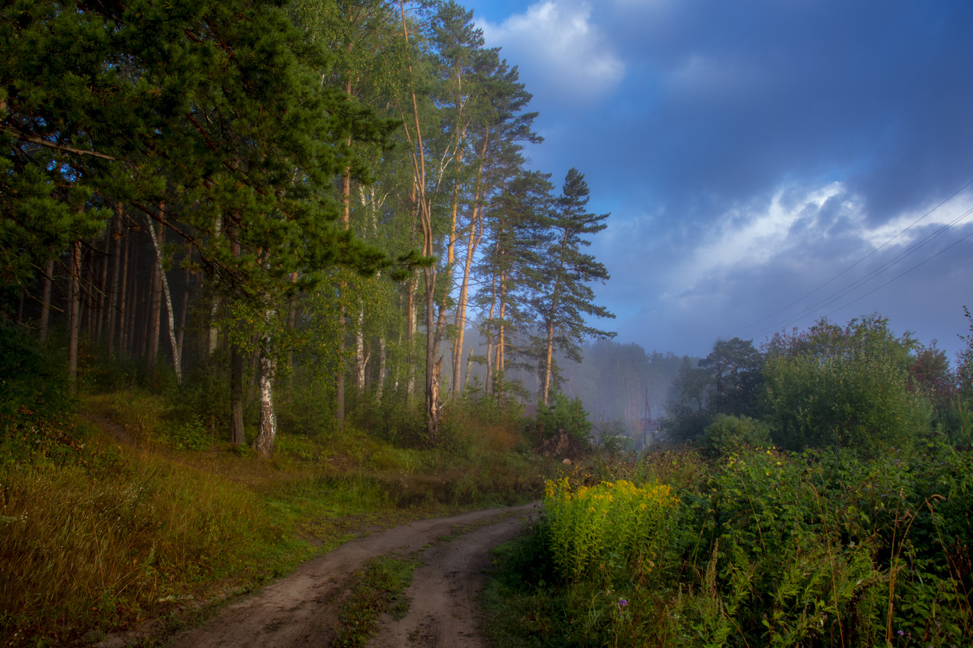 road in the fog