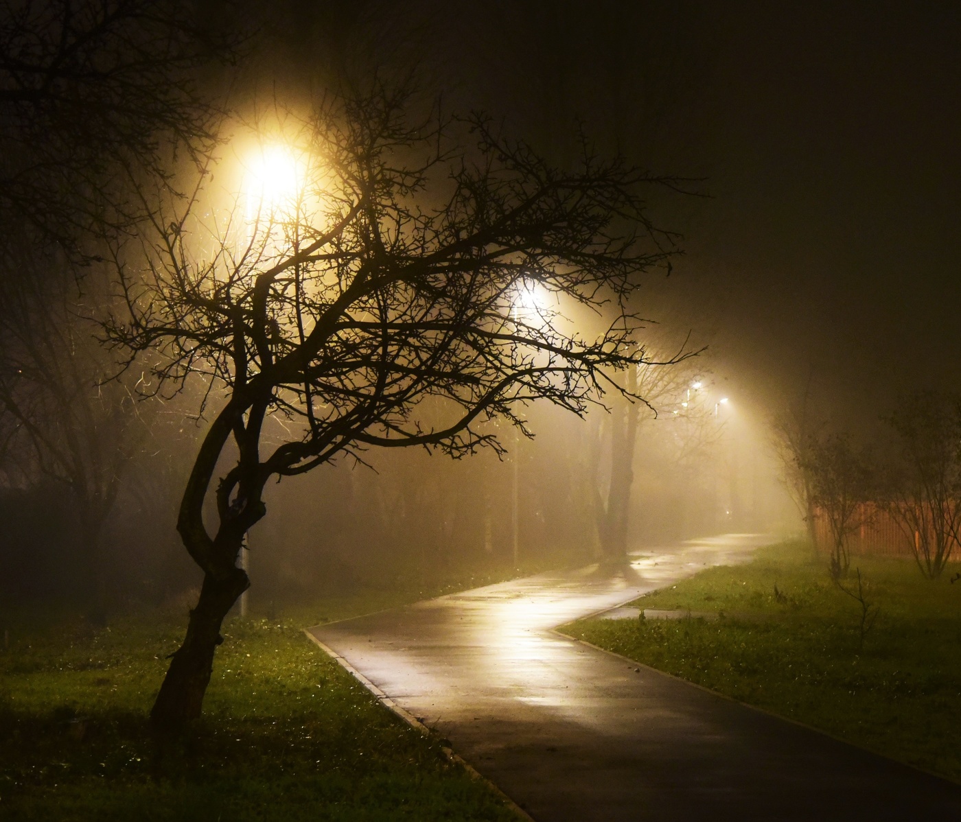 Город туман вечер. Туман. Туман ночью. Фонарь в тумане. Ночной фонарь в тумане.