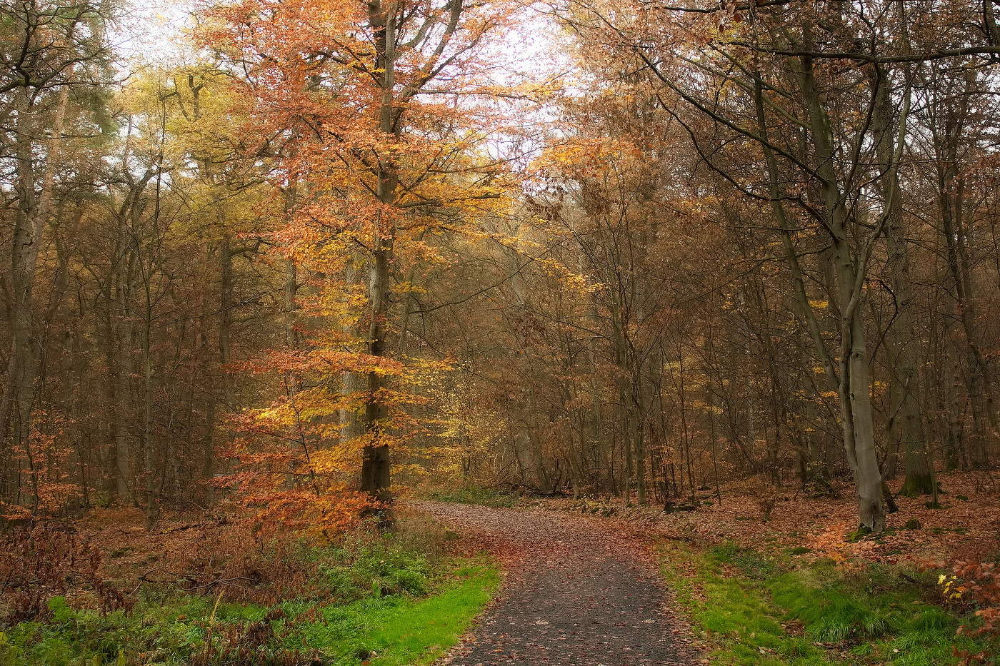 Autumn