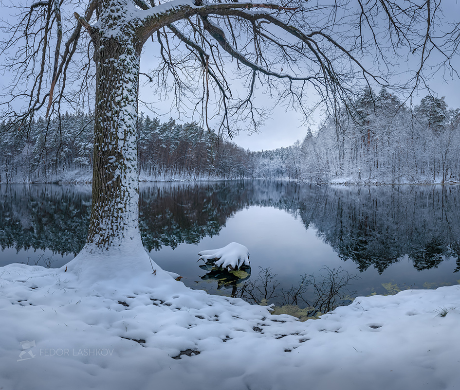 On the shore of the pond