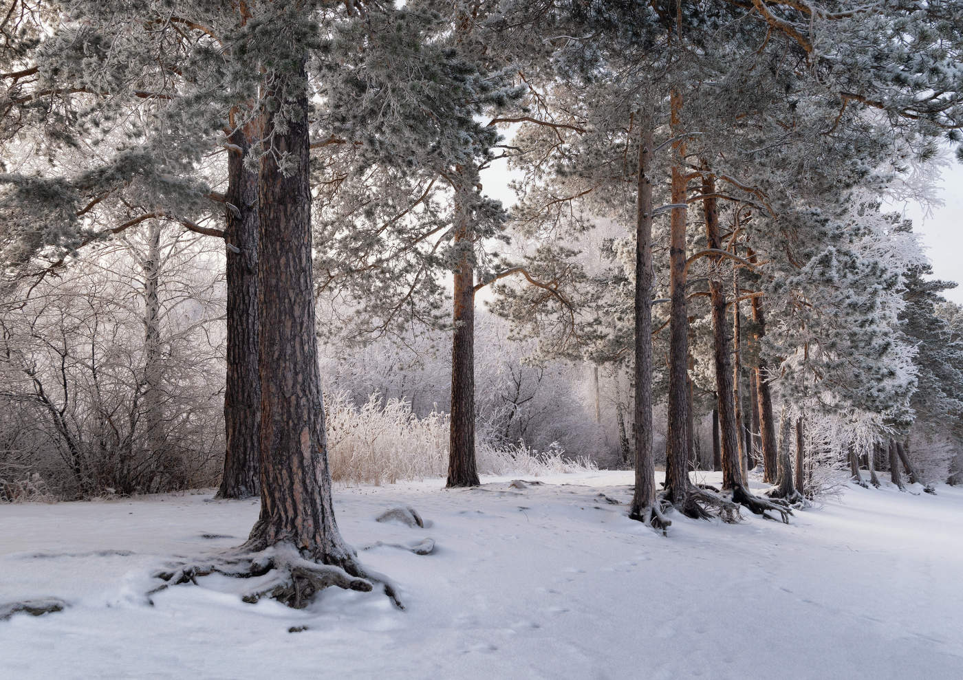After snowfall
