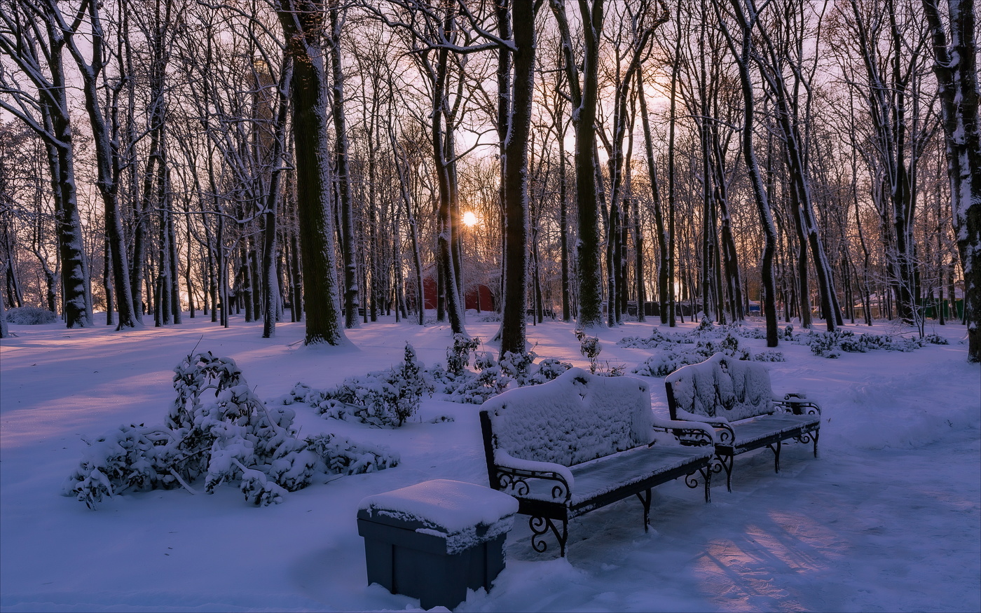 Frost and sun.