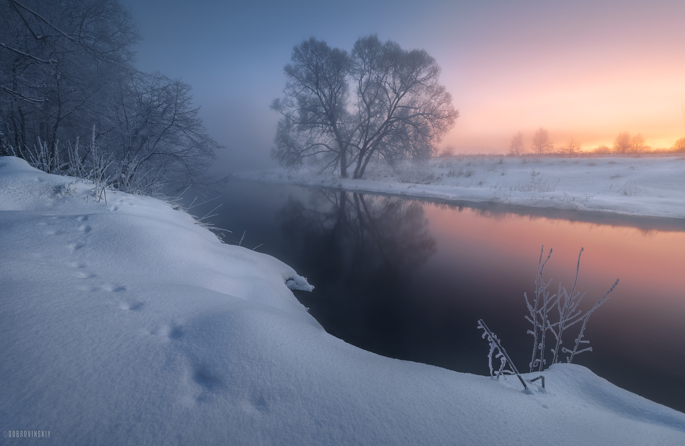 Dawn
