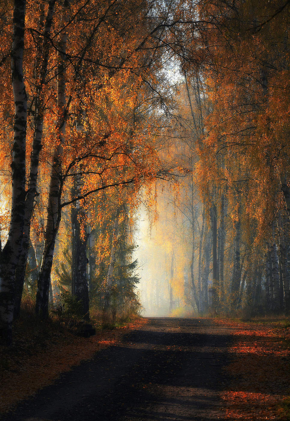 In the morning